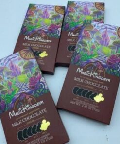 Magic Kingdom Chocolate Bars